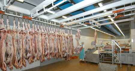 Дезинсекция на мясокомбинате в Черноголовке, цены на услуги